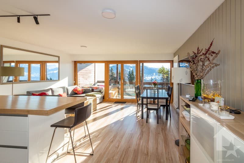 Spacieux appartement rénové 2.5 pièces jouissant d'une vue magnifique (2)