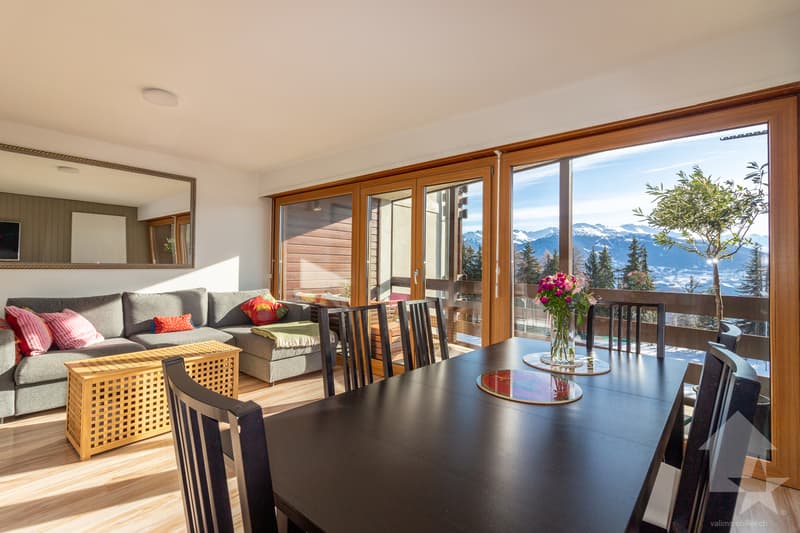 Spacieux appartement rénové 2.5 pièces jouissant d'une vue magnifique (3)