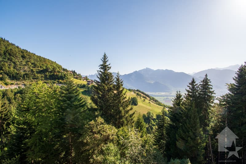 Torgon, 2 pièces avec vue sur la plaine dans la résidence le Cleuset (9)