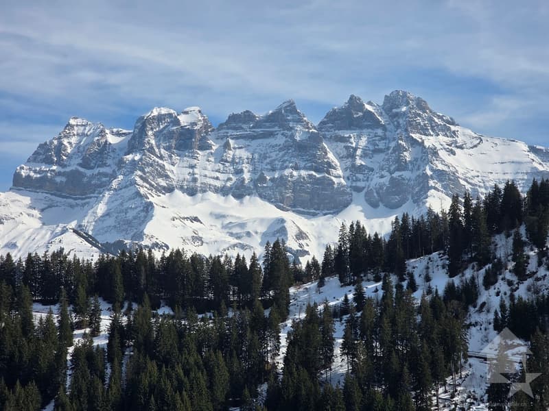Champoussin, magnifique attique de 4.5 pièces (11)