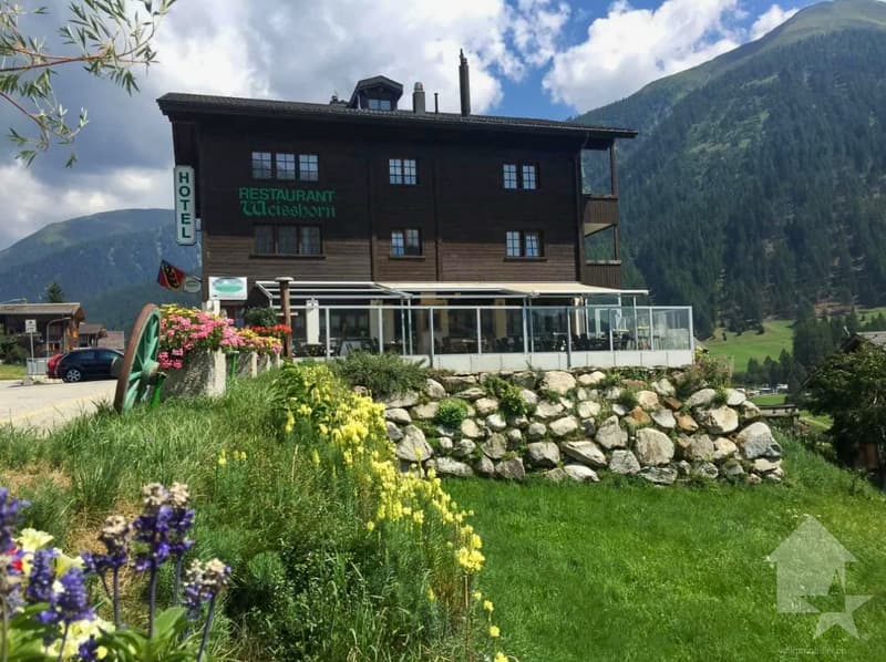 Hôtel dans un endroit sensationnel à Ritzingen, Valais (3)