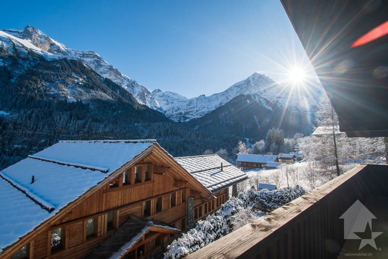Magnifique chalet d'architecte au centre du village (8)