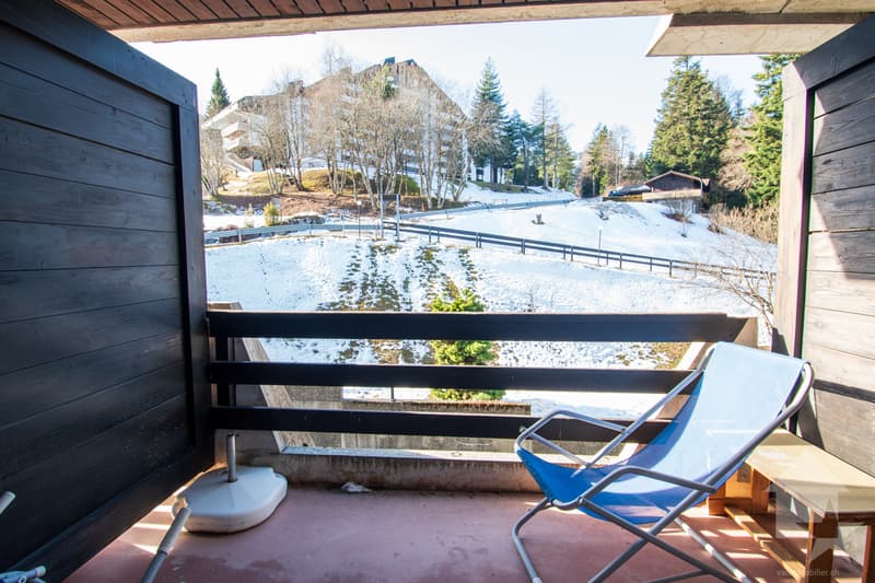 Torgon, sympathique duplex de 2 pièces dans l'imm. le Cleuset (8)