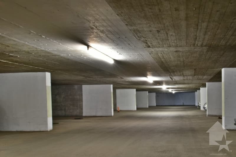Torgon, sympathique duplex de 2 pièces dans l'imm. le Cleuset (10)
