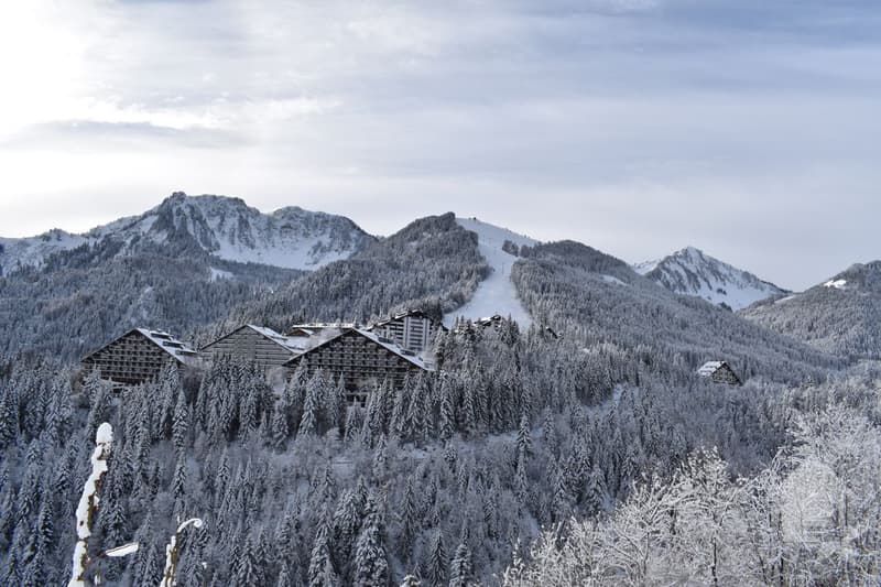 Torgon, sympathique duplex de 2 pièces dans l'imm. le Cleuset (11)