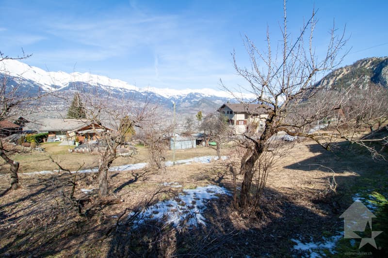 Magnifique villa contiguë de 4.5 pièces sur la commune de Vex (8)