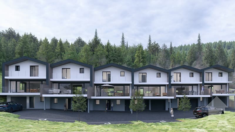 Magnifique villa contiguë de 4.5 pièces sur la commune de Vex (2)
