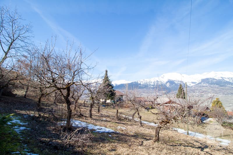 Magnifique villa contiguë de 4.5 pièces sur la commune de Vex (6)
