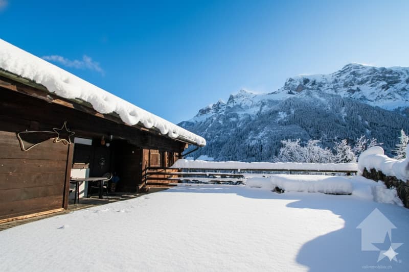 Spacieux chalet au coeur de la nature (12)
