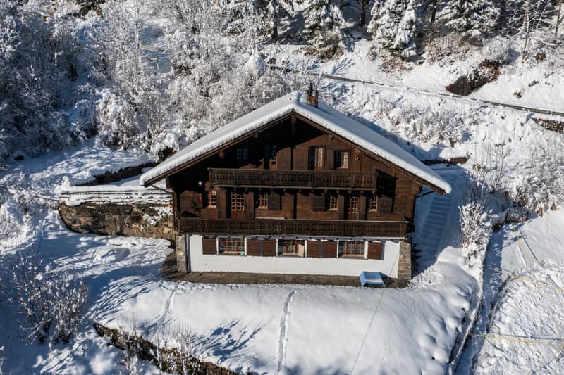 Spacieux chalet au coeur de la nature (13)