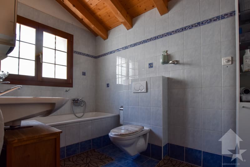 Magnifique chalet de 5.5 pièces (11)