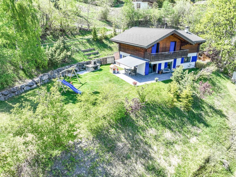 Magnifique chalet de 5.5 pièces (1)
