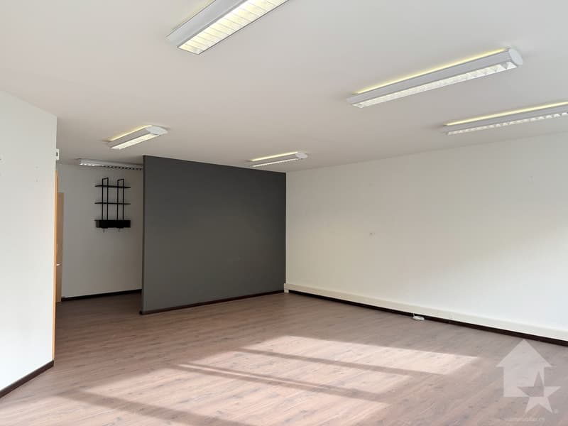 Vente de surface commerciale à Sion (4)
