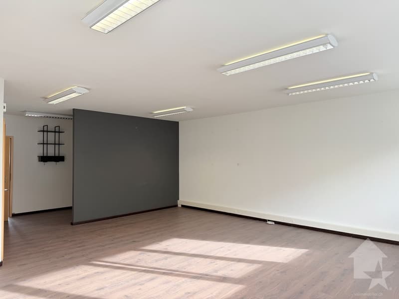 Vente de surface commerciale à Sion (3)