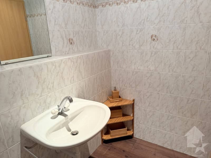 Vente de surface commerciale à Sion (10)