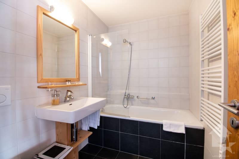 Joli appartement de 3.5 pces avec studio indépendant (4)