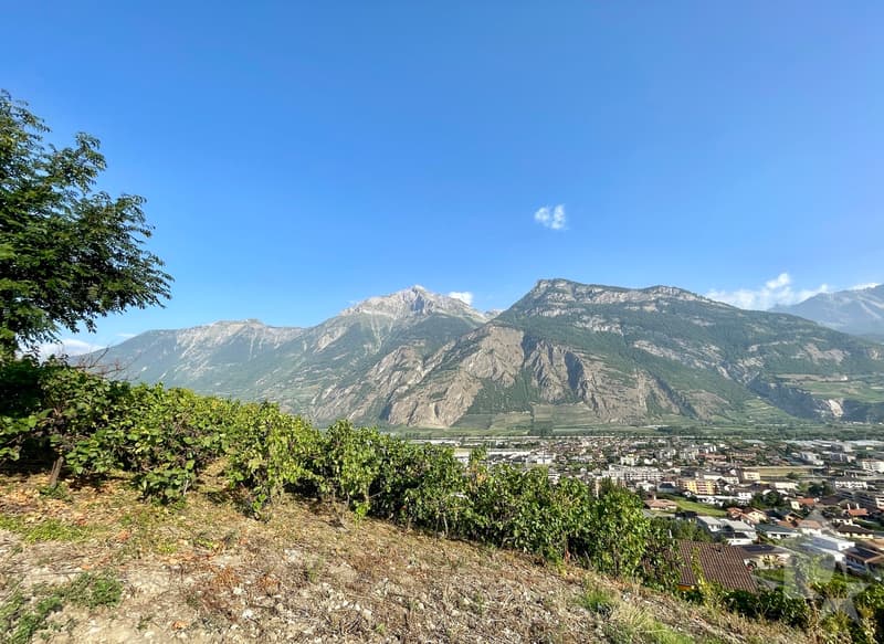 Appartement 4,5 pces de 133m2 avec jardin de 176m2 et 2 places de parc (4)