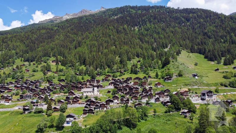 Splendide parcelle à bâtir (3)