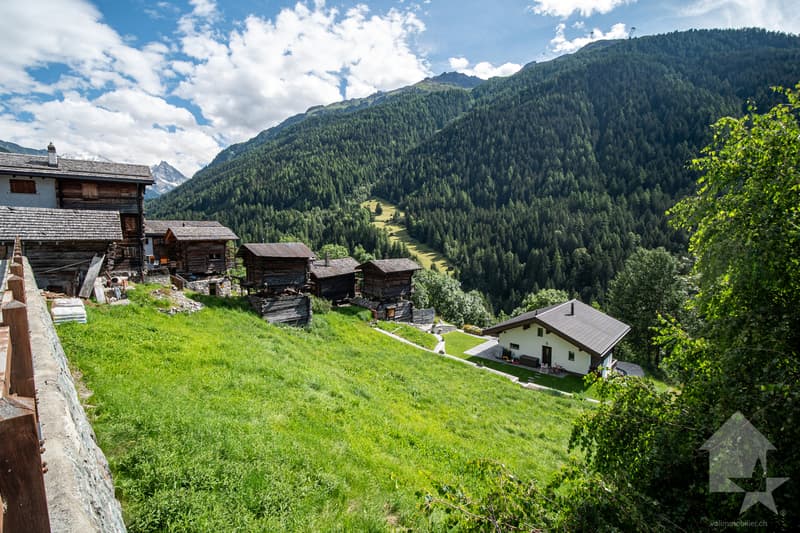 Très belle parcelle à construire au centre d'Ayer (3)