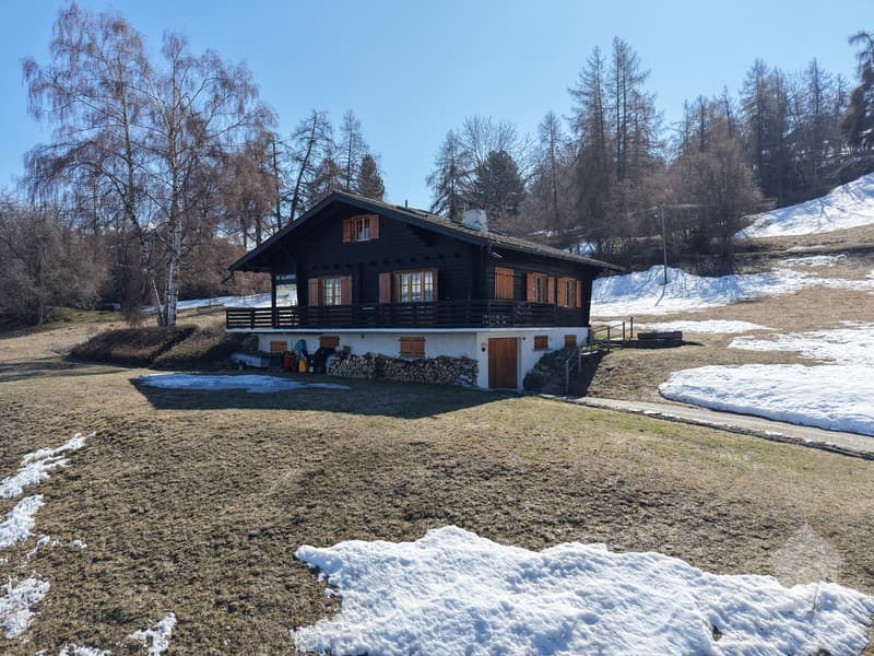 Chalet bénéficiant d'une situation privilégiée (11)