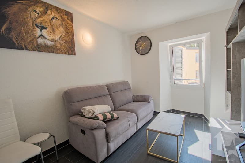 Immeuble de rendement de 4 appartements (9)