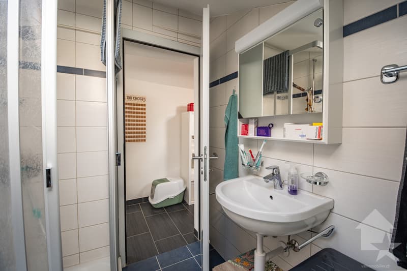Immeuble de rendement de 4 appartements (5)
