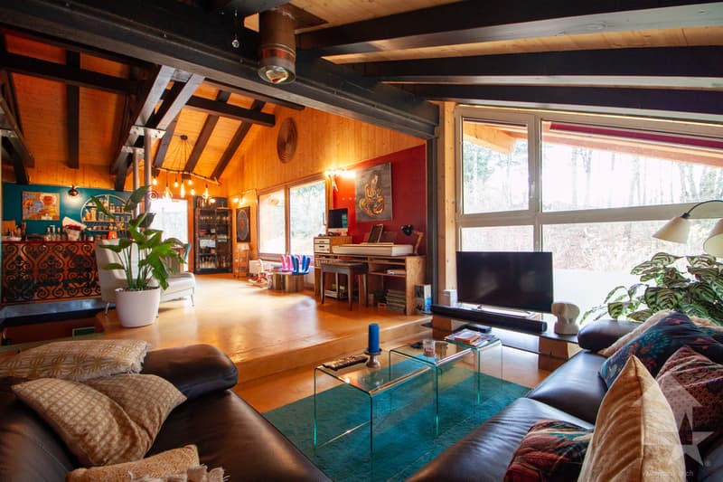 Chalet atypique de 140 m2 sur une parcelle de 19'881 m2 (7)