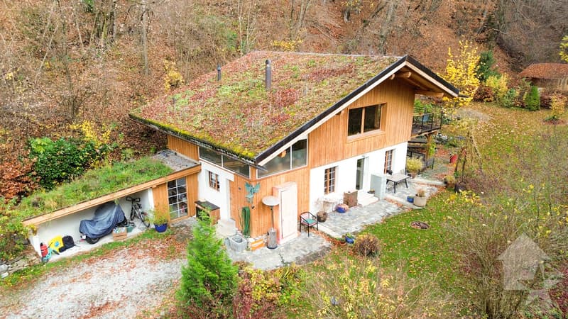 Chalet atypique de 140 m2 sur une parcelle de 19'881 m2 (4)
