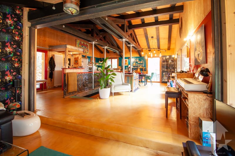 Chalet atypique de 140 m2 sur une parcelle de 19'881 m2 (12)
