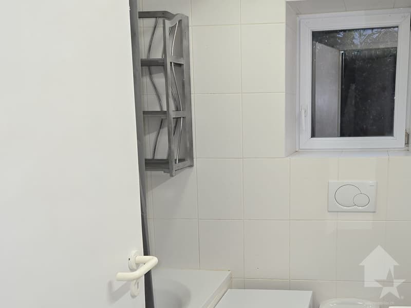 Appartement de 2.5 pièces au centre du village de Vex (3)