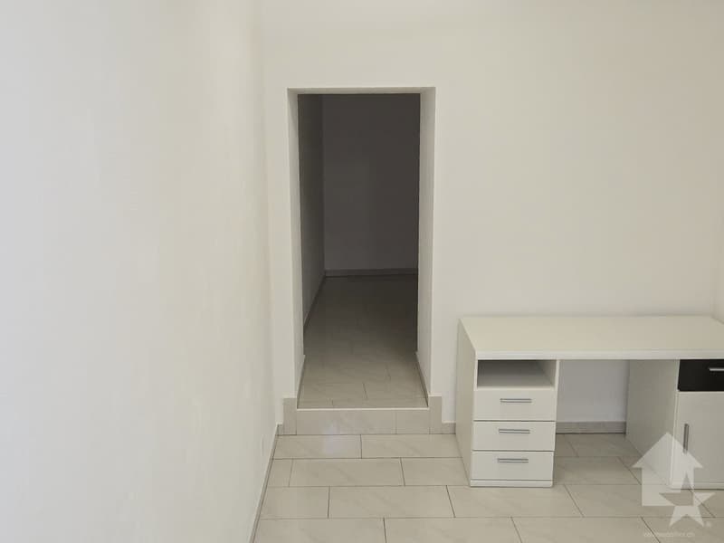 Appartement de 2.5 pièces au centre du village de Vex (4)