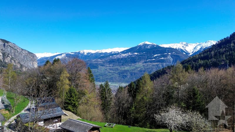 Superbe chalet de 4.5 pièces sur un terrain de 6'876 m2 (8)