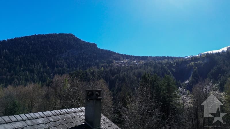 Superbe chalet de 4.5 pièces sur un terrain de 6'876 m2 (12)