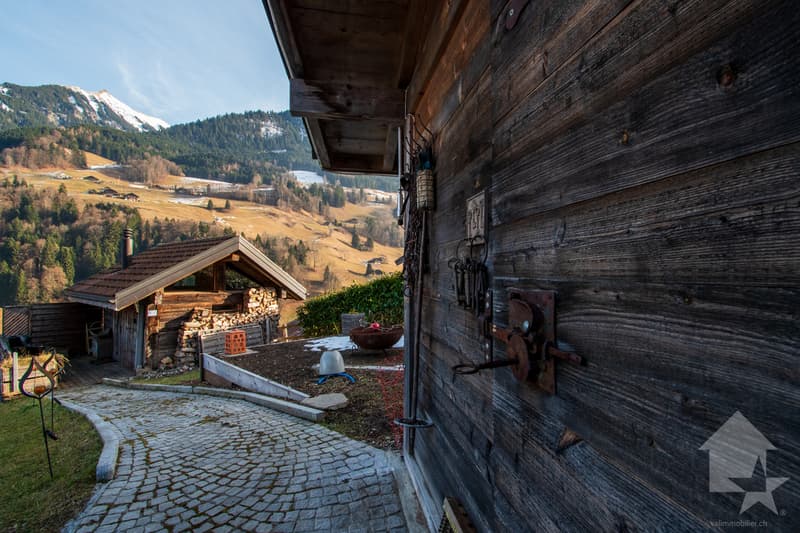 Val-d'Illiez, magnifique chalet de 3 logements (13)
