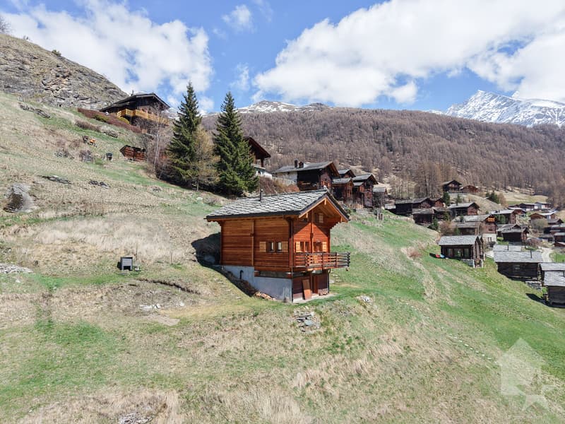 Magnifique chalet à La Forclaz (1)