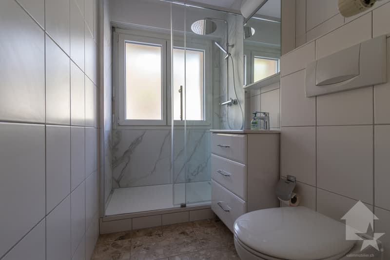 Spacieux appartement traversant 3.5 pièces idéalement situé (9)