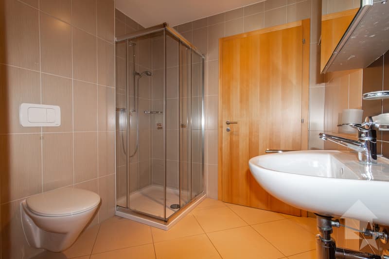 Spacieux appartement 4.5 pièces avec terrasse couverte de 34 m2 (13)