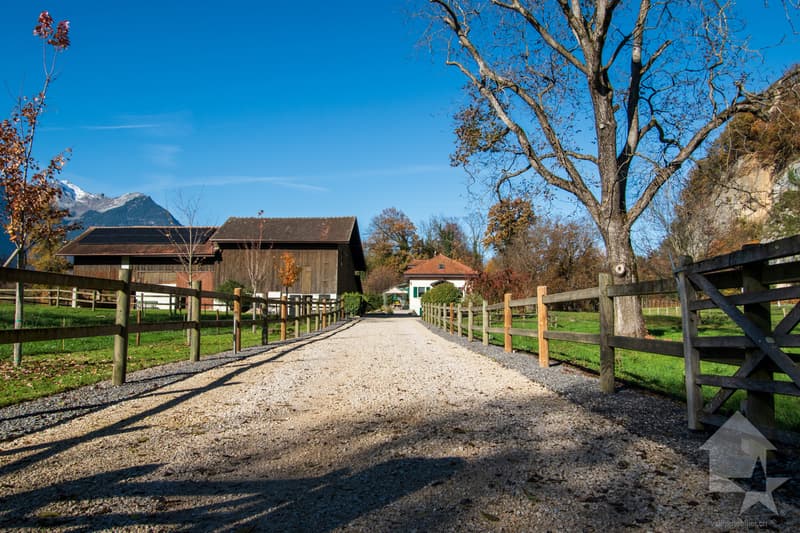 Chablais vaudois - villa et rural idéal pour chevaux (13)