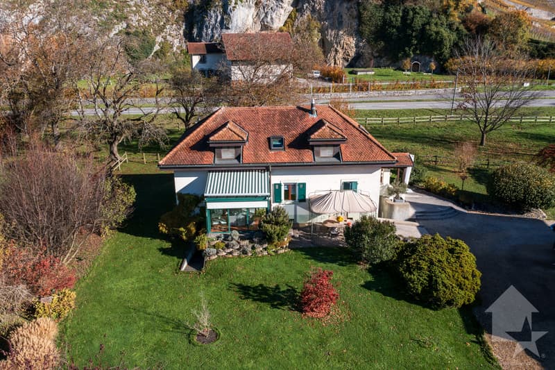 Chablais vaudois - villa et rural idéal pour chevaux (4)