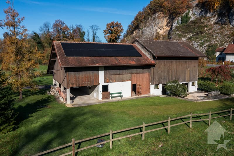 Chablais vaudois - villa et rural idéal pour chevaux (11)