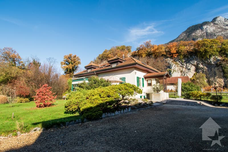 Chablais vaudois - villa et rural idéal pour chevaux (10)