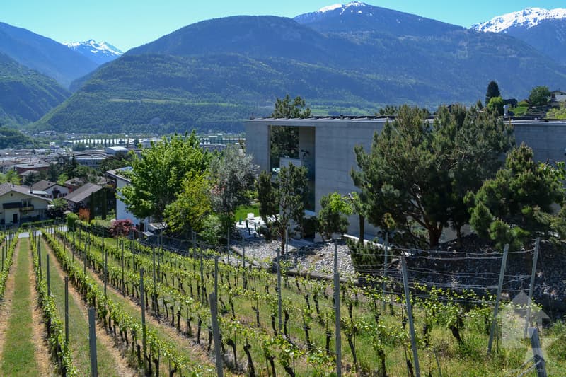 Magnifique parcelle surplombant Sierre dans zone villa de 1'099 m2 (2)