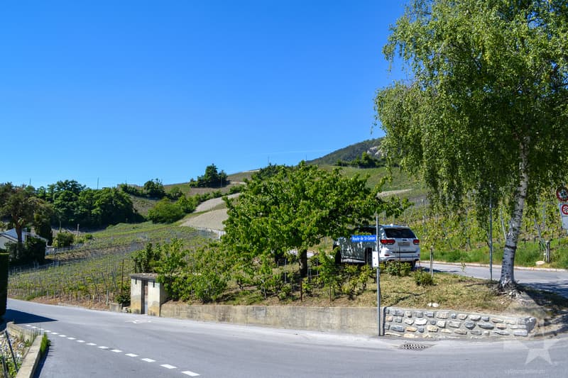 Magnifique parcelle surplombant Sierre dans zone villa de 1'099 m2 (7)
