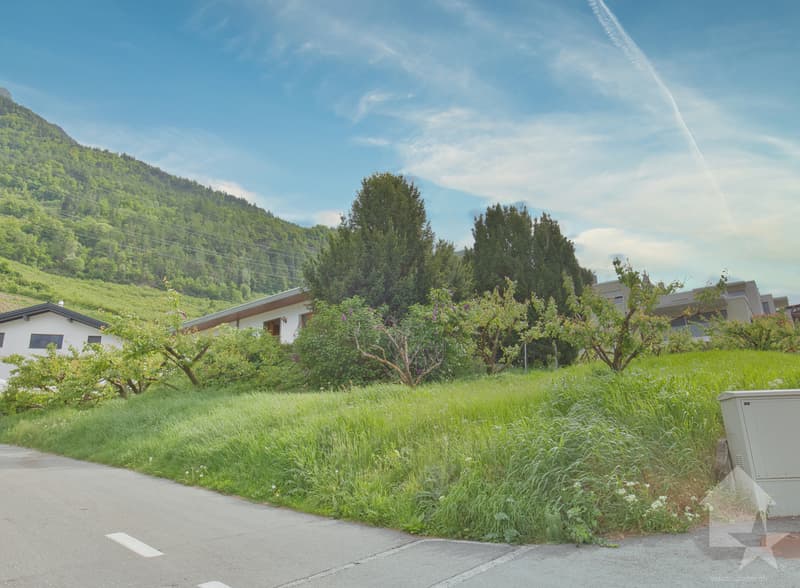 Villa traditionnelle avec grand sous-sol implantée sur une grande parcelle de 1'075 m2 (2)