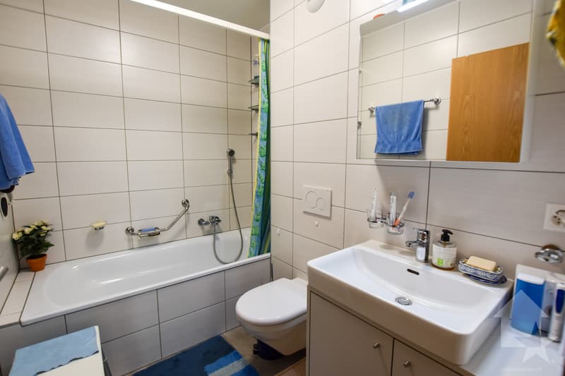Bel appartement récent (13)