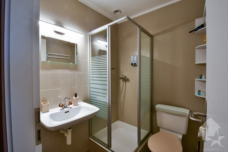 Auberge alpine rénovée (6)