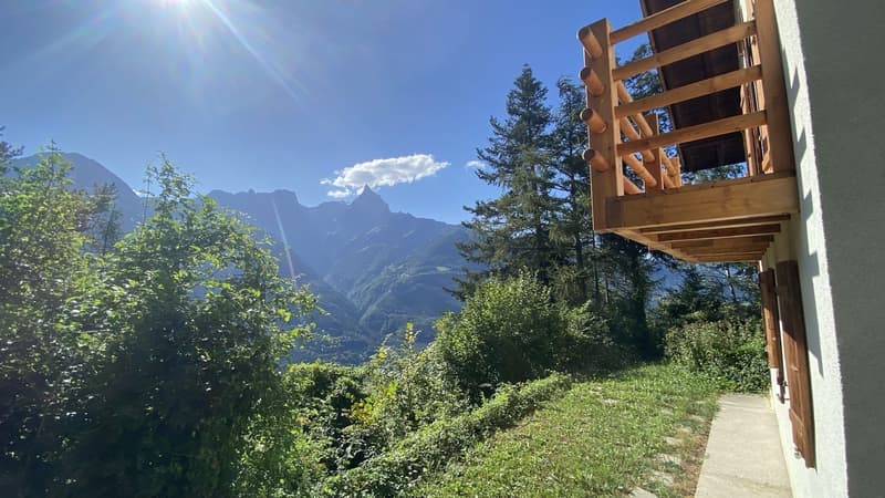 Magnifique chalet rénové sur une parcelle de 3'932 m2 (4)