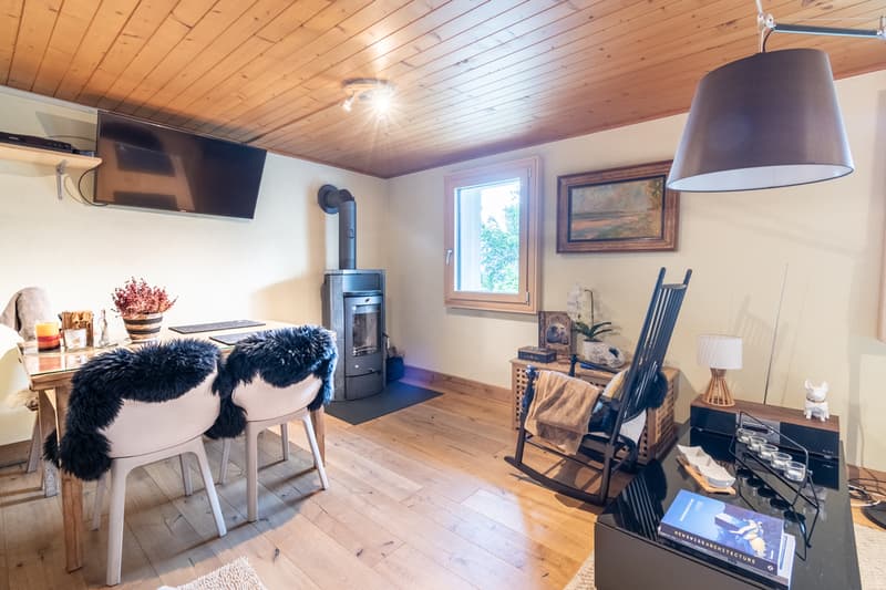 Magnifique chalet rénové sur une parcelle de 3'932 m2 (6)