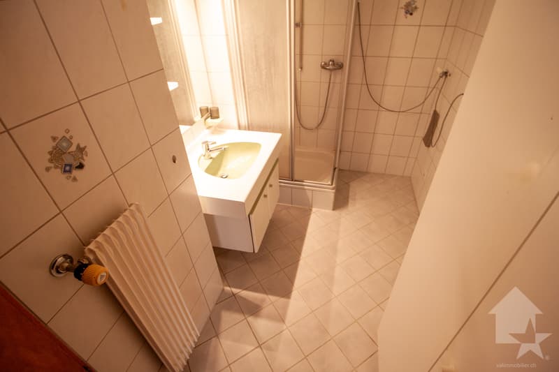 Superbe appartement de 4,5 pièces à Conthey (11)