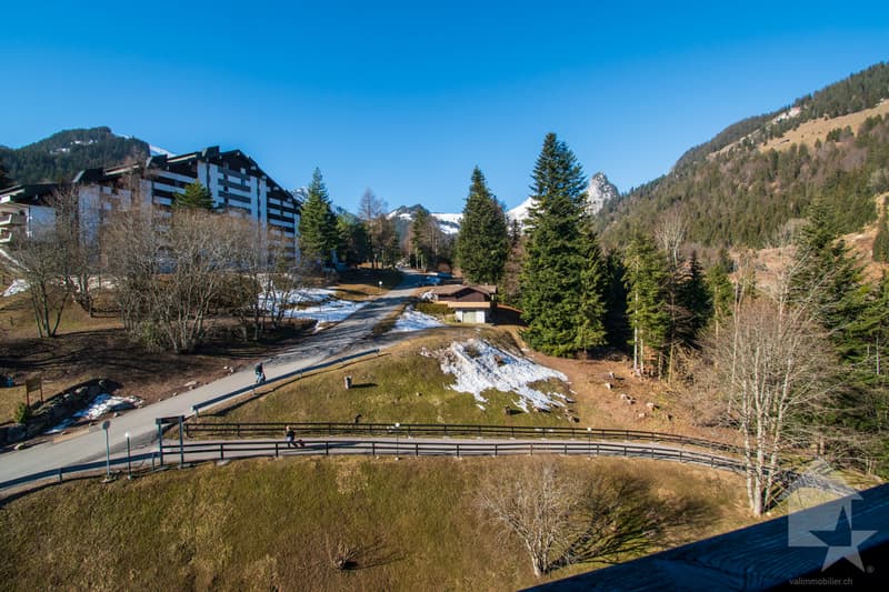 Torgon, duplex de 3.5 pièces dans l'immeuble le Cleuset (13)